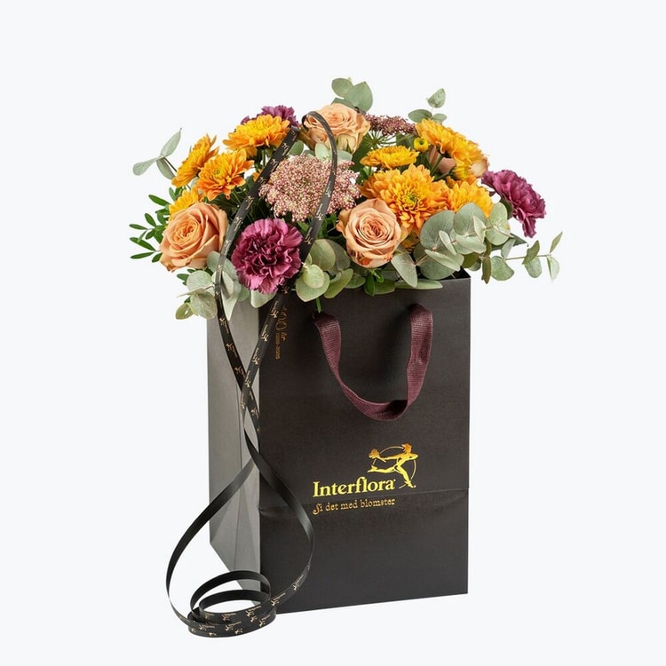 Autumn Warm small 240401