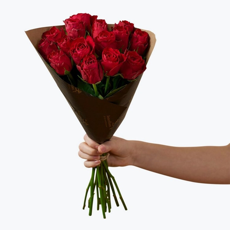 Roses Red 15  242622