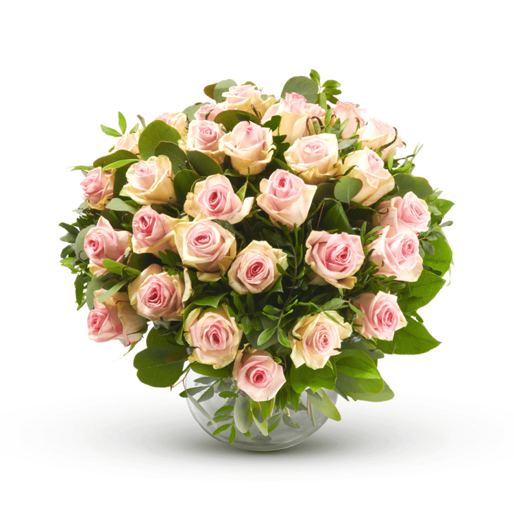 Rosalie