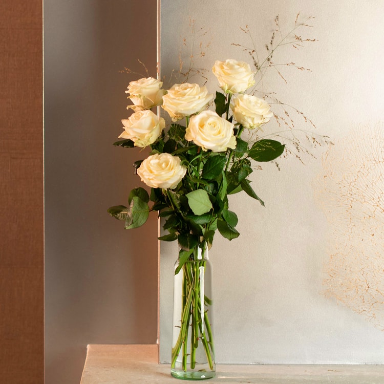 Losse witte rozen hover