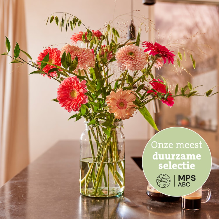 Groen Gekeurd gerbera boeket hover