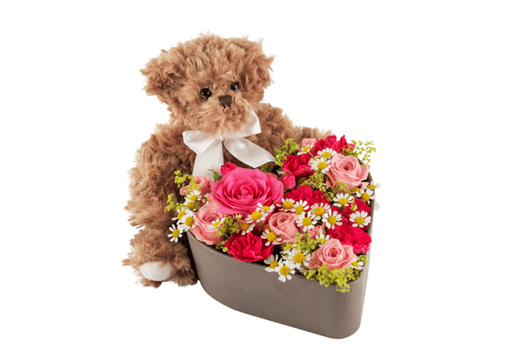 Loveheart and Teddy 250338
