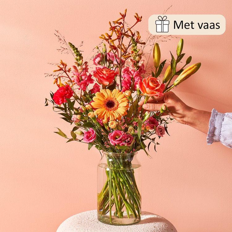 Cadeauset Vrolijk hover