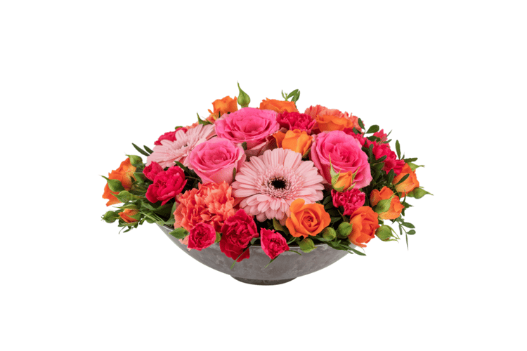 Decoration Classic 242657