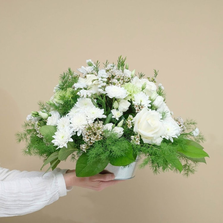 White Composition