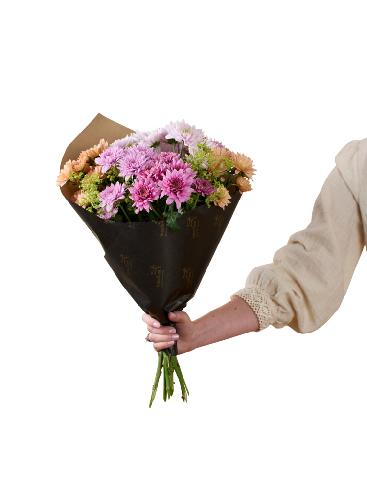 Chrysanthemum 250321
