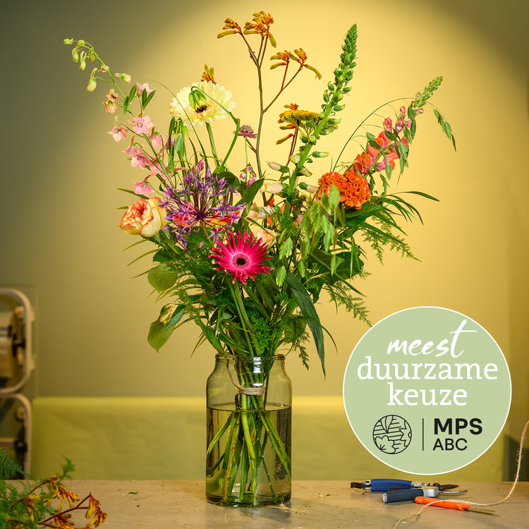 Groen Gekeurd zomer hover