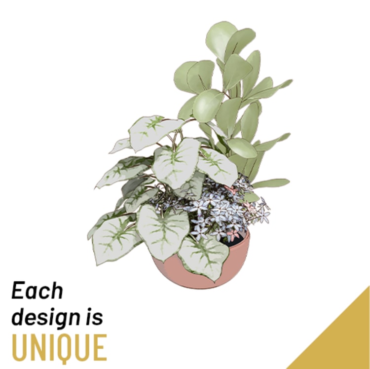 Planted Bowl-Arrangement