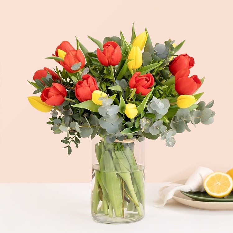 Multicoloured tulips