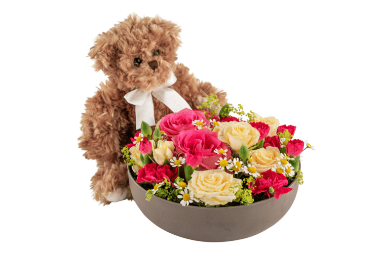 Celebrate and Teddy 250360