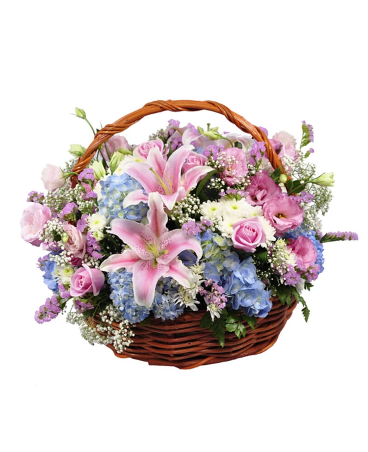 Pastel Surprise