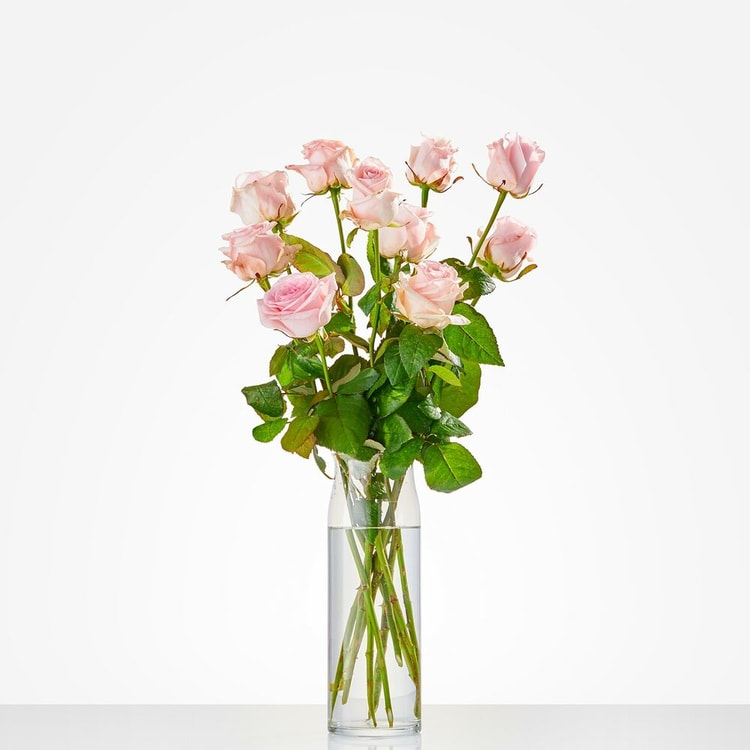 Losse roze rozen