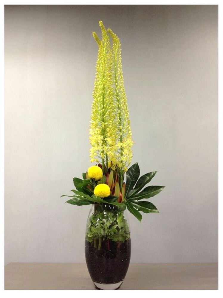 Arrangement of Cut Flowers