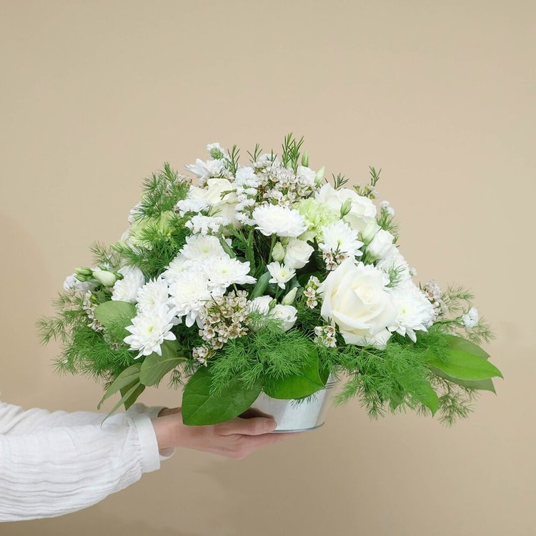 White Composition